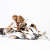 Malabar Cubensis Mushroom