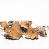PF-Classic Magic Mushroom