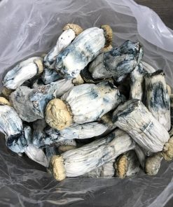 Yeti Magic Mushroom